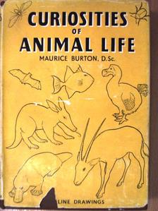 Maurice Burton - Curiosities of animal life [antikvár]