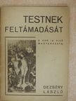 Dezséry László - ...Testnek feltámadását... [antikvár]