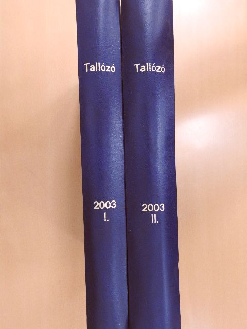 Tallózó 2001-2004. (vegyes számok) I-II. (31 db) [antikvár]