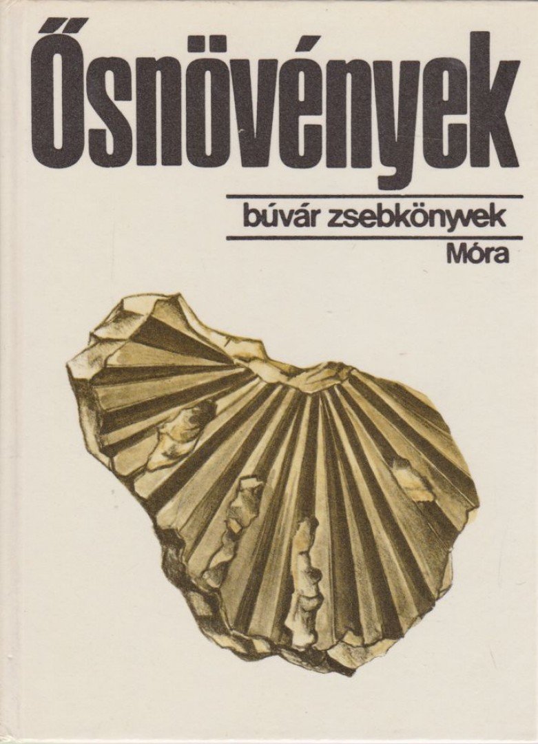 Hably Lilla - Ősnövények [antikvár]