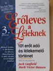 Alan Cohen - Erőleves a Léleknek 3. [antikvár]