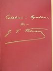 J. V. Widmann - Calabrien-Apulien (gótbetűs) [antikvár]