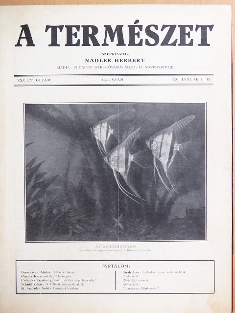 Rapaics Raymund - A Természet 1934. január-december [antikvár]
