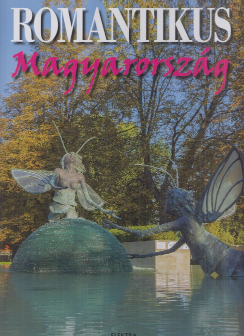Vida Péter (Szerk.) - Romantikus Magyarország [antikvár]