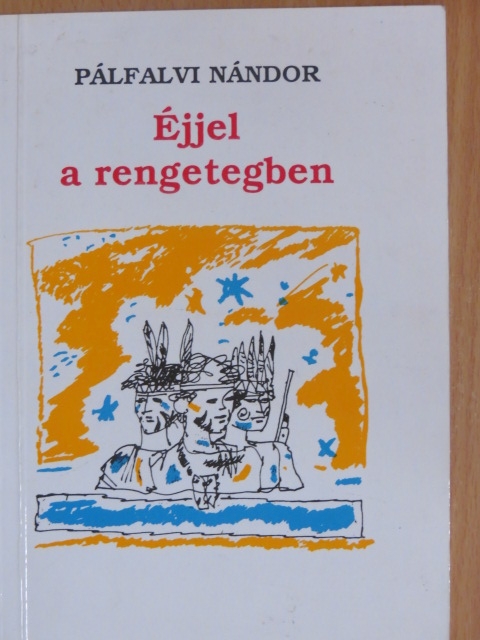 Pálfalvi Nándor - Éjjel a rengetegben [antikvár]