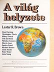Alan Thein Durning - A világ helyzete 1993 [antikvár]