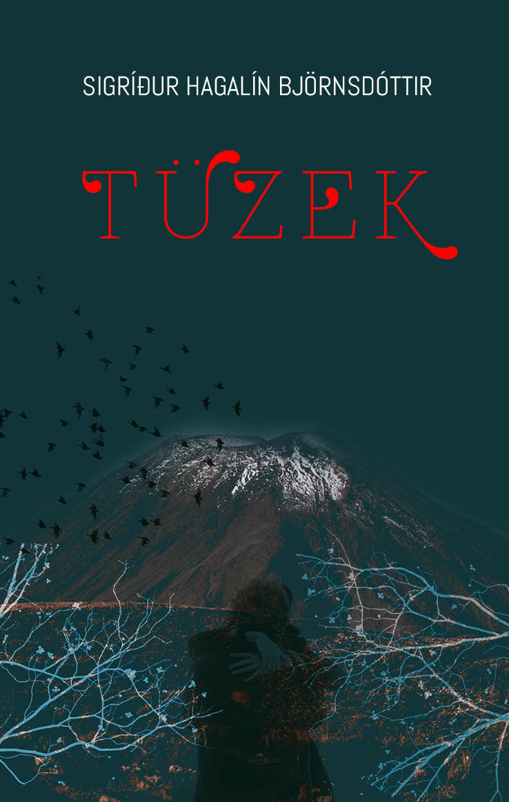 Sigrídur Hagalín Björnsdóttir - Tüzek [eKönyv: epub, mobi]