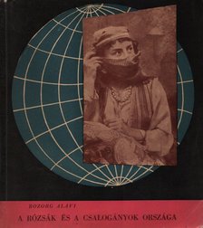 Bozorg Alavi - A rózsák és csalogányok országa [antikvár]