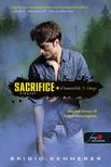 Brigid Kemmerer - Sacrifice - Áldozat (Elementálok 5.)