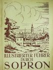 Becht Rezső - Illustrierter führer durch Sopron [antikvár]
