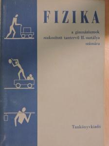 Párkányi László - Fizika II. [antikvár]