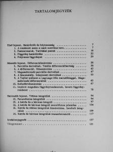 Farkas Miklós - Matematika V. [antikvár]
