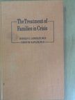 David M. Kaplan - The Treatment of Families in Crisis [antikvár]