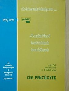 Csécs Zsolt - Cég pénzügyek [antikvár]