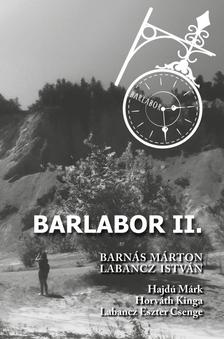 Barnás Márton-Labancz István-Labancz Eszter Csenge - BARLABOR II.
