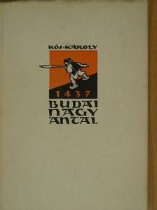 Kós Károly - Budai Nagy Antal [antikvár]