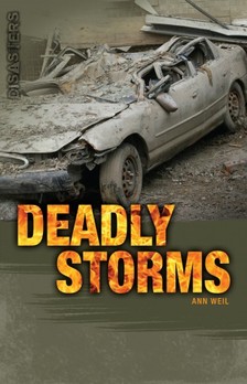 Weil Ann - Deadly Storms [eKönyv: epub, mobi]