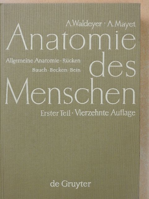 Anatomie des Menschen I. [antikvár]