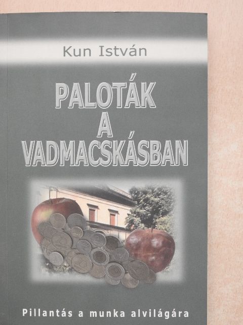 Kun István - Paloták a Vadmacskásban [antikvár]