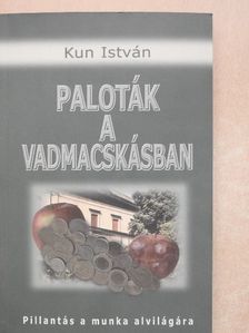 Kun István - Paloták a Vadmacskásban [antikvár]