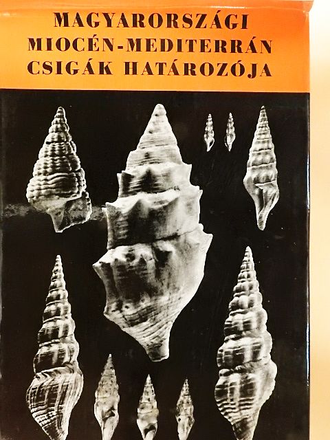 Strausz László - Magyarországi miocén-mediterrán csigák határozója [antikvár]