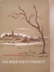 Császár Klára - Ha már megvirradt [antikvár]