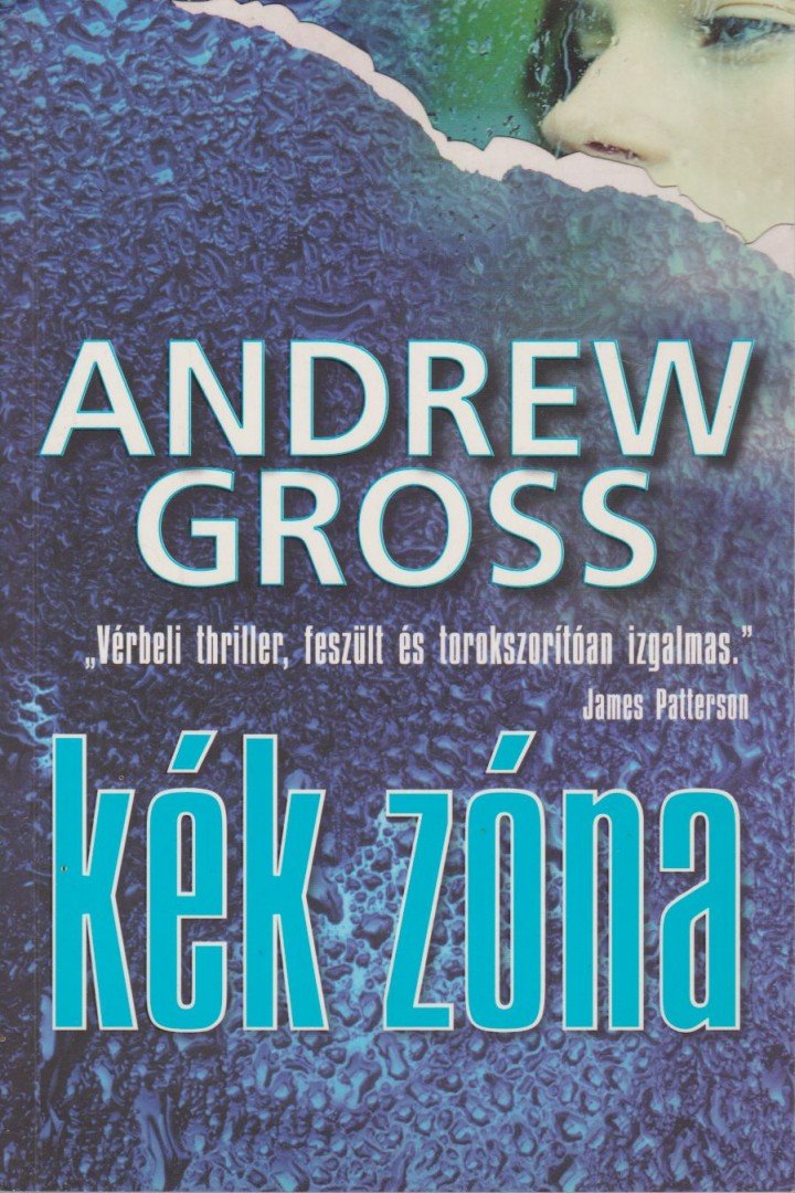 Andrew Gross - Kék zóna [antikvár]