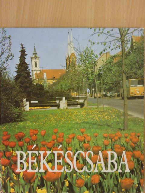 Martin Gábor - Békéscsaba [antikvár]