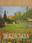 Martin Gábor - Békéscsaba [antikvár]