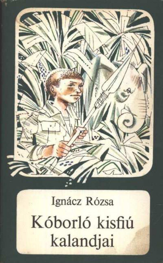 IGNÁCZ RÓZSA - Kóborló kisfiú kalandjai [antikvár]