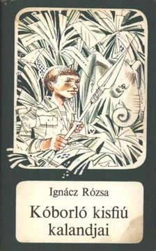 IGNÁCZ RÓZSA - Kóborló kisfiú kalandjai [antikvár]