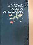 Ady Endre - A magyar novella antológiája II. [antikvár]