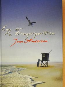 Joan Anderson - Egy év a tengerparton [antikvár]