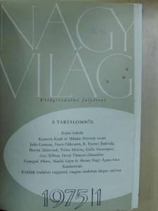 Abádi Nagy Zoltán - Nagyvilág 1975. január-december I-II. [antikvár]