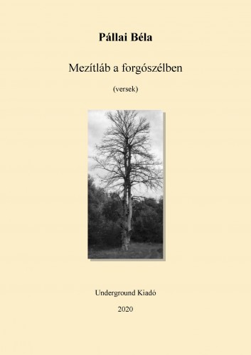 Béla Pállai - Mezítláb a kertben [eKönyv: epub, mobi]