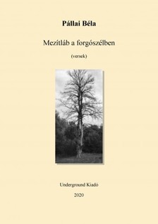 Béla Pállai - Mezítláb a kertben [eKönyv: epub, mobi]