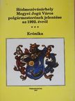 Dr. Kruzslicz István - Hódmezővásárhely Megyei Jogú Város polgármesterének jelentése az 1992. évről [antikvár]