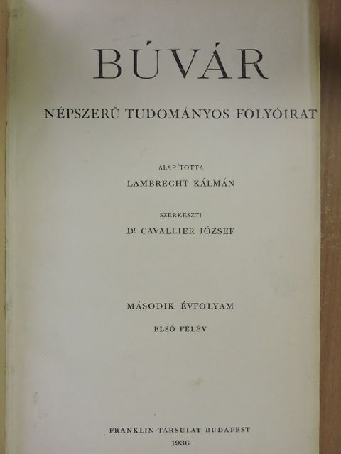 Abaházi R. - Búvár 1936. január-december [antikvár]
