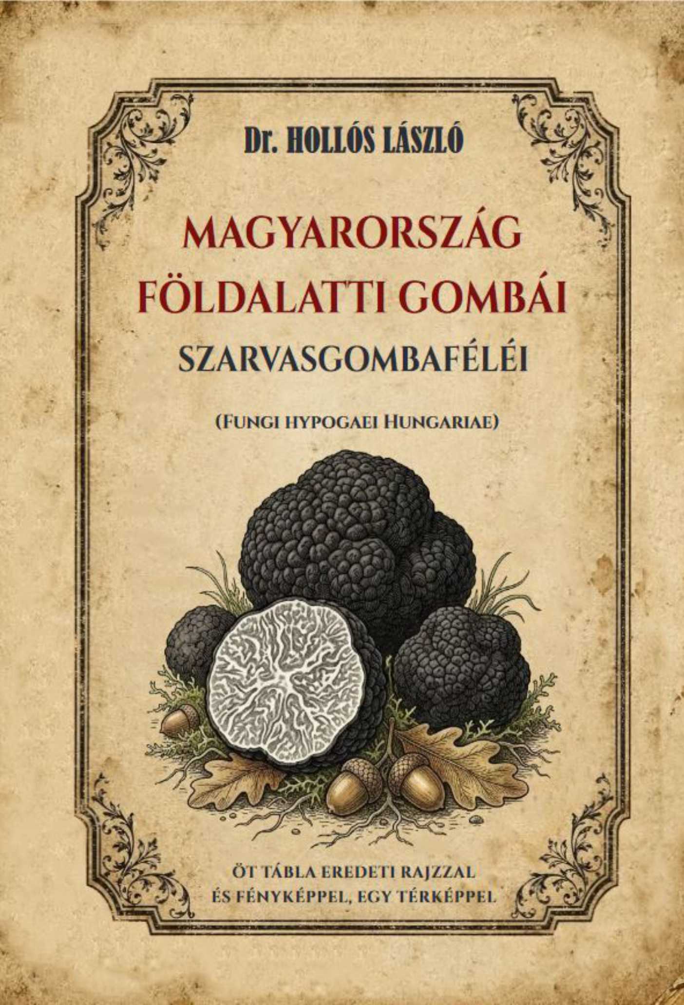 Dr. Hollós László - Magyarország földalatti gombái, szarvasgombaféléi