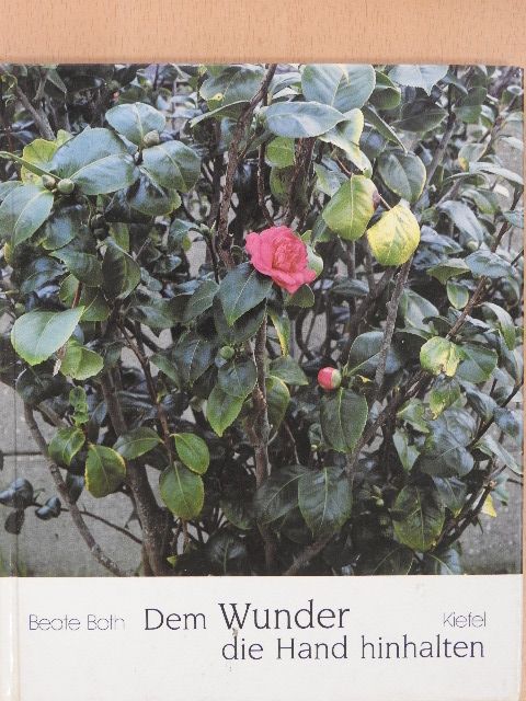 Dem Wunder die Hand hinhalten [antikvár]