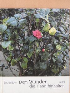 Dem Wunder die Hand hinhalten [antikvár]