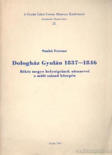 Dr. Szabó Ferenc - Dologház Gyulán 1837-1846 [antikvár]