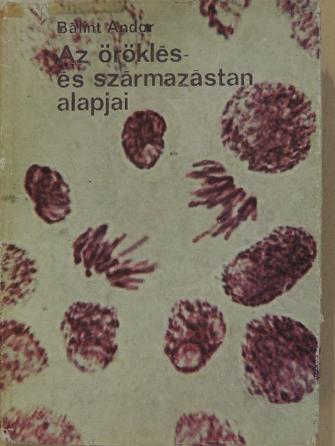 Bálint Andor - Az öröklés- és a származástan alapjai [antikvár]