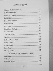 Arany-Tóth Katalin - Alföldi paletta 2013 [antikvár]