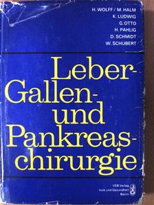 Dieter Schmidt - Leber-, Gallen- und Pankreaschirurgie [antikvár]