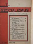 Braun Róbert - Szocializmus 1929. julius 6. [antikvár]