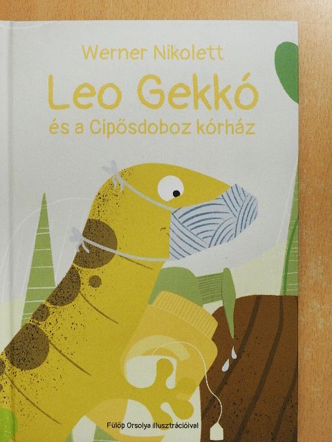 Werner Nikolett - Leo Gekkó és a Cipősdoboz kórház [antikvár]