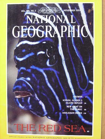 Arthur Zich - National Geographic November 1993 [antikvár]