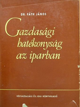 Dr. Fáth János - Gazdasági hatékonyság az iparban [antikvár]
