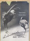 Dr. Adolf Heilborn - Liebesspiele der Tiere [antikvár]